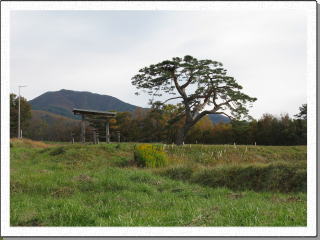 ���ё��̕��i