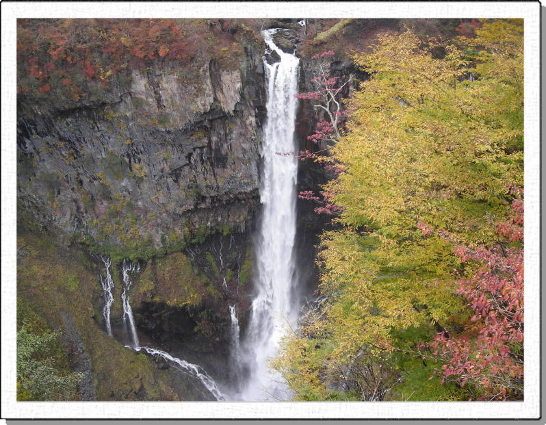 ���܂�����،��̑�