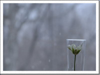 ���n�����̕��i