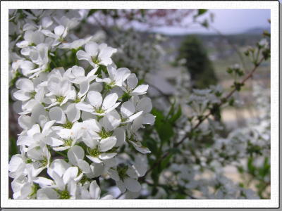 ���ܖ�s���Ȃ̏t