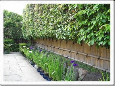 �����Ė��̕��i