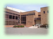 ���{�s�l����