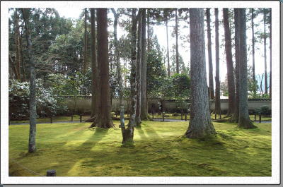 ���s�O��@�̉����Ɋy�@��