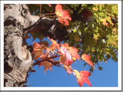 ���K�s���̉w�ɂ�